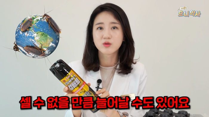 인사이트