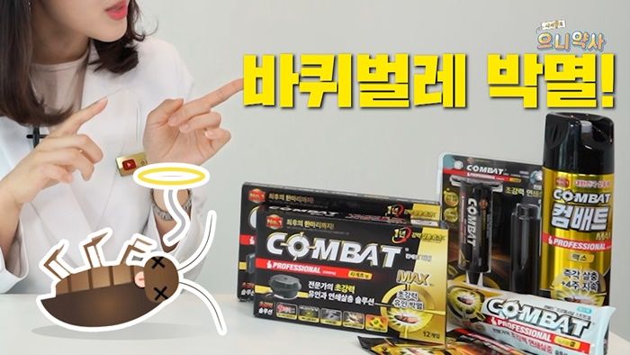 인사이트
