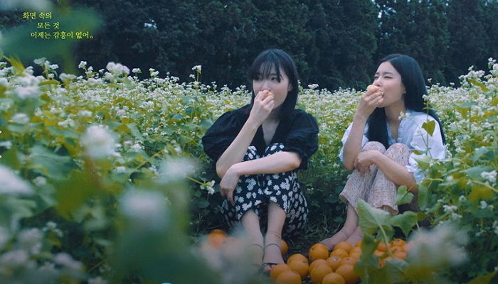인사이트