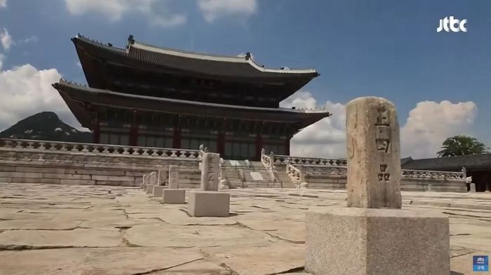 코로나19로 사람 발길 끊긴 궁궐 찾아와 나들이 즐기는 ‘너구리 가족’