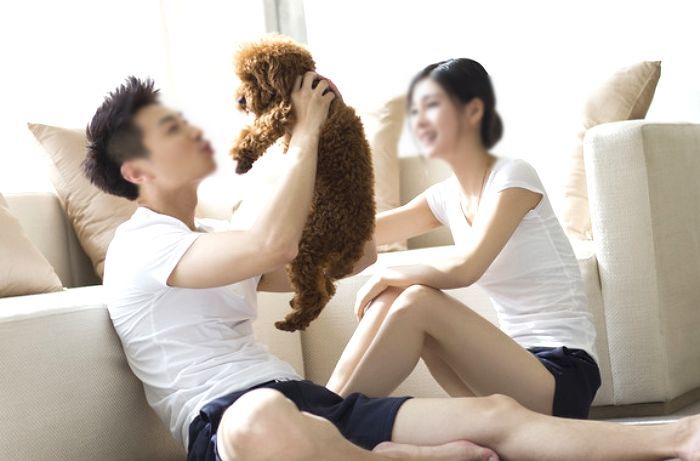 “여친이 저 몰래 반려견 길에 버리고는 목줄 놓쳐 잃어버렸다고 거짓말했습니다”