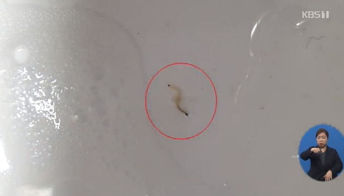 “양치질하는데 뭔가 ‘꿈틀’”…파주 수돗물서도 ‘유충’ 나왔다