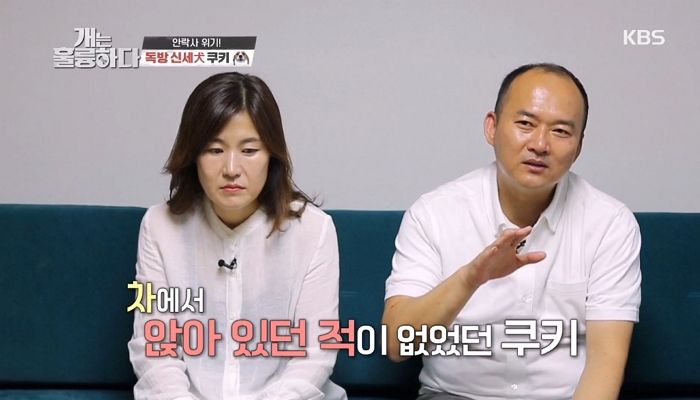 반려견이 사람 심하게 물어 ‘안락사’ 시키려 했다가 결국 포기했다는 견주