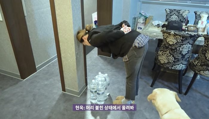 인사이트