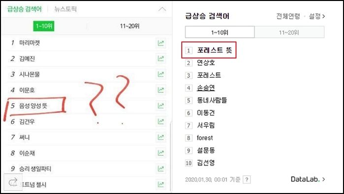 인사이트