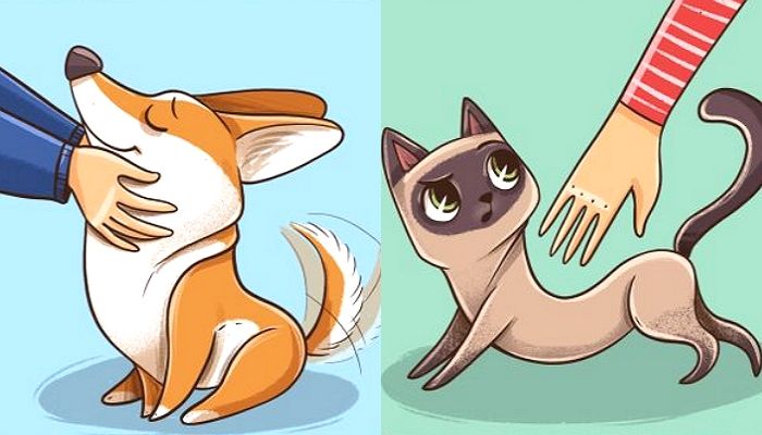 “강아지 vs 고양이”…극명한 ‘온도 차’로 집사들 홀리는 반려동물 일상 일러스트
