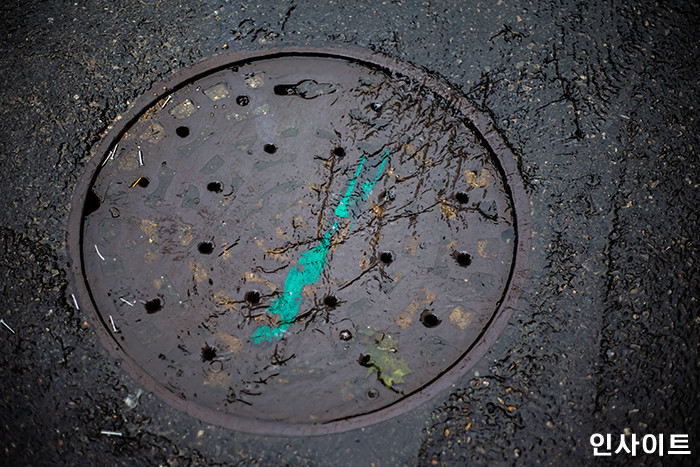 인사이트 / 사진=인사이트