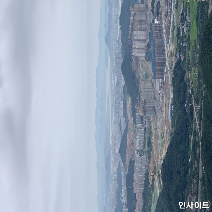 인사이트 / 사진=인사이트