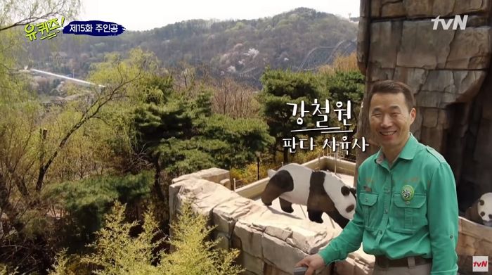 에버랜드 ‘아기 판다’ 태어나자 ‘강제 소환’ 당하고 있는 인물의 정체