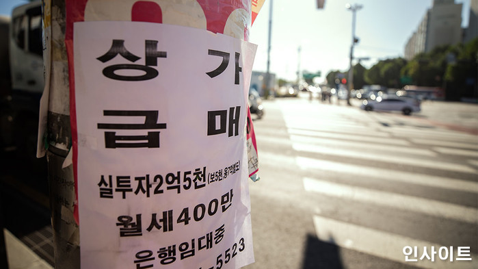 인사이트 / 사진=인사이트