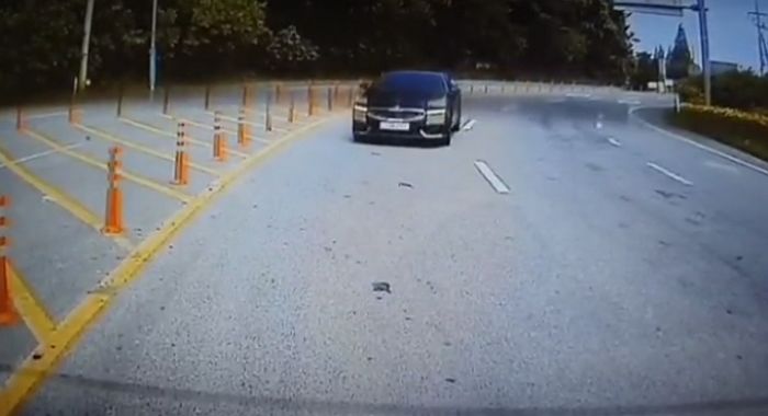 “친구랑 우정여행 갔다가 갑자기 부딪힌 스팅어 때문에 황천길 갈 뻔했습니다”