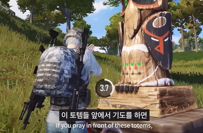 인사이트