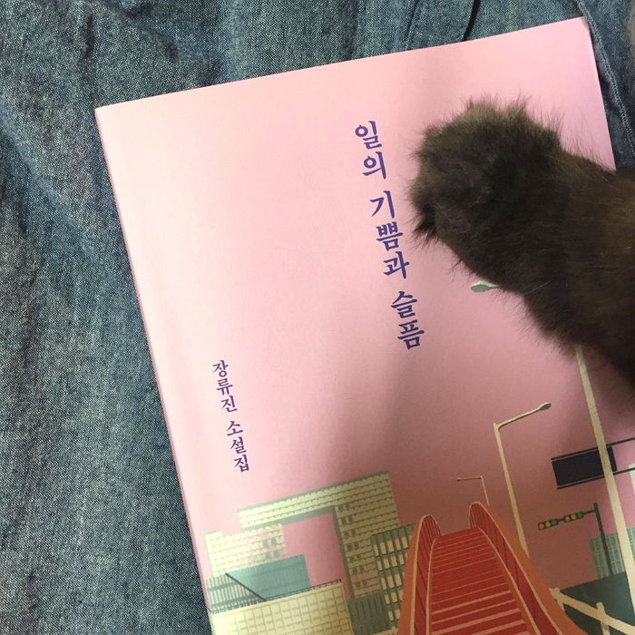 인사이트
