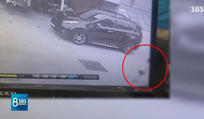 “아이가 튀어나왔어요”···8살 아이 치여 숨지게 한 견인차 운전자 거짓말 CCTV로 들통