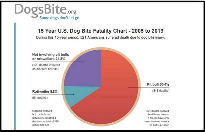 최근 15년 동안 미국에서 사람을 가장 많이 물어 죽인 ‘맹견’ 2종