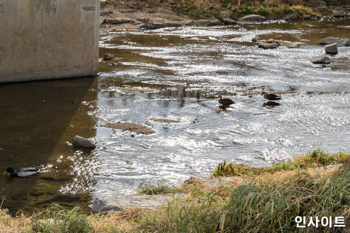 인사이트 / 사진=인사이트