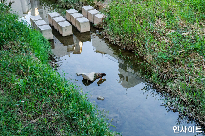 인사이트 / 사진=인사이트