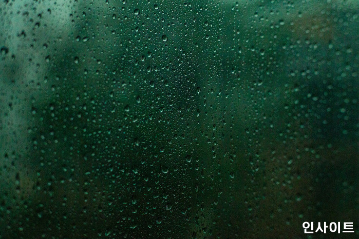 인사이트 / 사진=인사이트