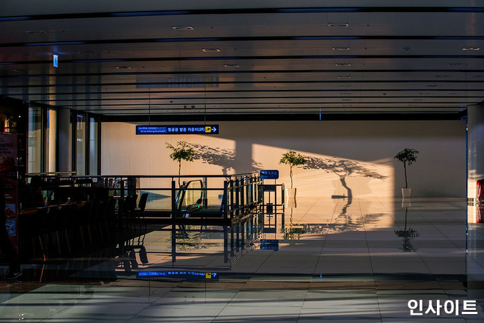 인사이트 / 사진=인사이트