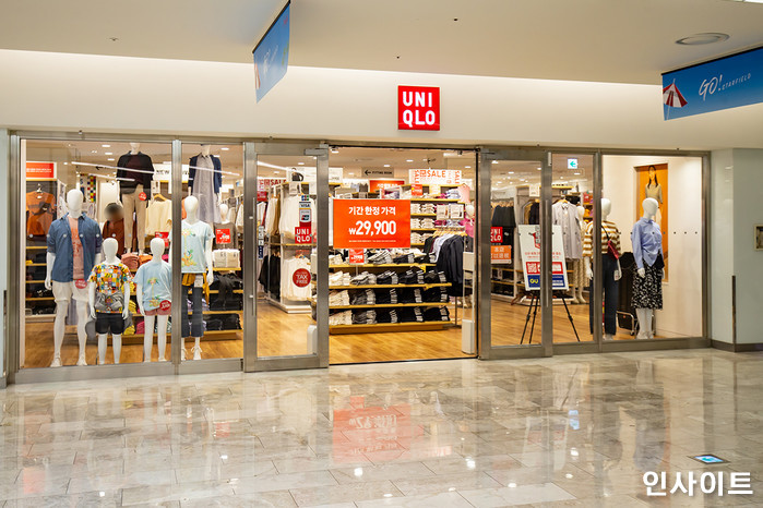 인사이트 / 사진=인사이트