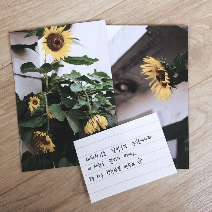 “할머니가 키우던 ‘해바라기’ 예쁜 사진으로 찍어 선물한 ‘쏘스윗’ 남학생을 찾습니다”