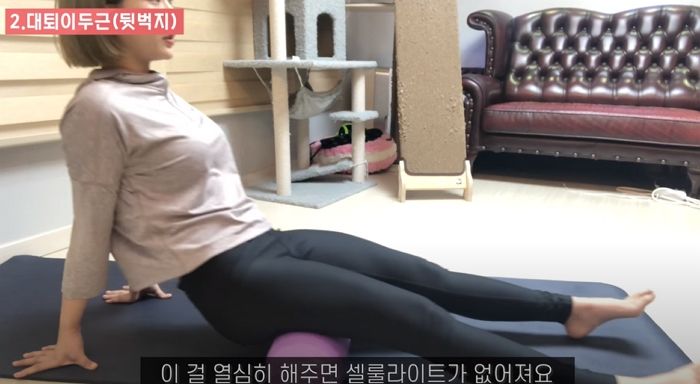 인사이트