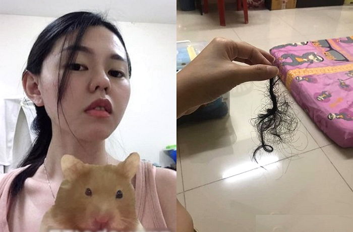 “자고 일어났더니 앞머리가 사라졌어요”···반려 햄찌와 함께 잔 여성이 공개한 사진