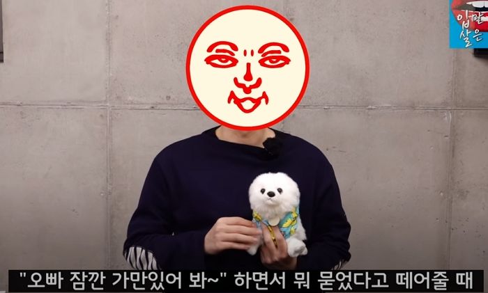 인사이트
