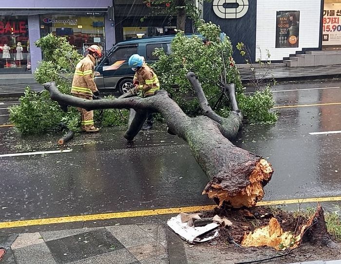 “제 9호 태풍 마이삭, 부산 직접 관통한다”