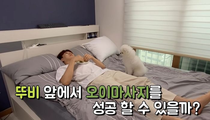 강아지 앞에서 오이 팩하면 절대(?) 안 되는 이유