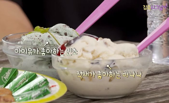 최애 아이스크림이 ‘민트초코’라며 사람들에 맛 전파하고 다니는 ‘열혈 민초파’ 아이유