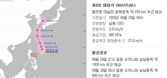 인사이트
