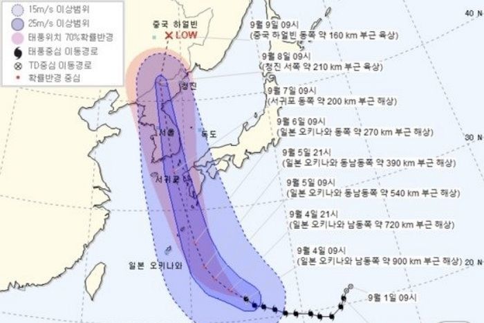 인사이트