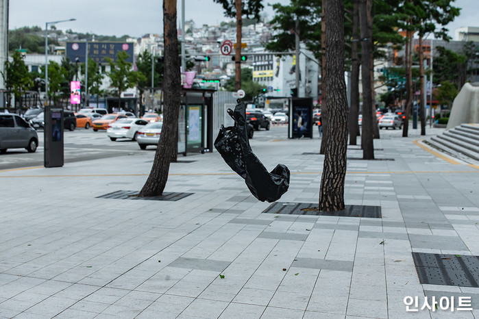 인사이트 / 사진=인사이트