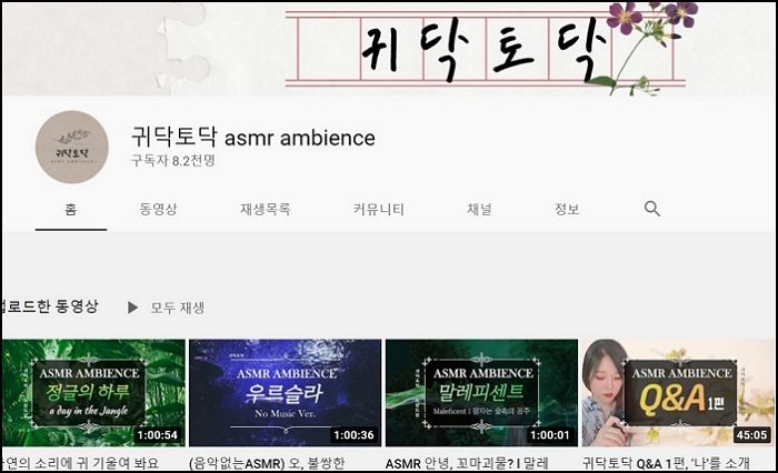 인사이트
