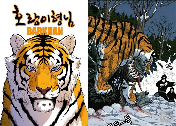 인사이트