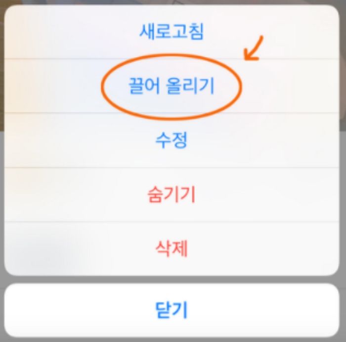 인사이트