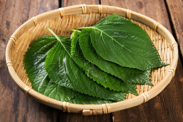 기사의 이해를 돕기 위한 자료 사진 / gettyimagesBank