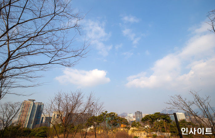 인사이트