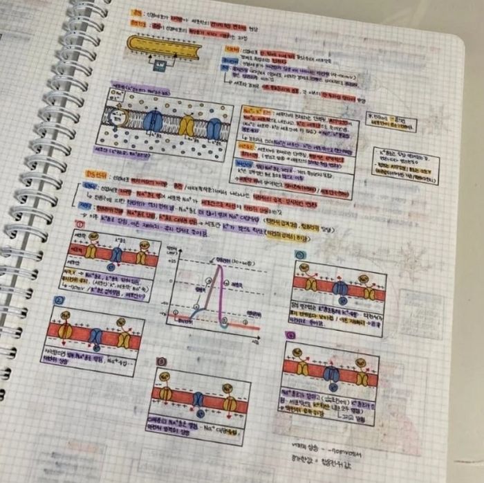 고3 수험생이 한번 읽고만 가도 ‘등급’ 오른다는 이과 모범생의 생명·화학 ‘필기 노트’