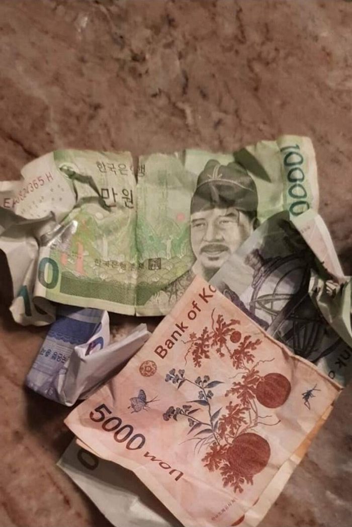 인사이트