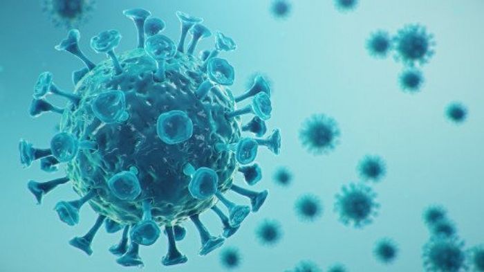 이 시국에 모르면 진짜 ‘아싸’라는 ‘코로나19’ 신조어 7가지