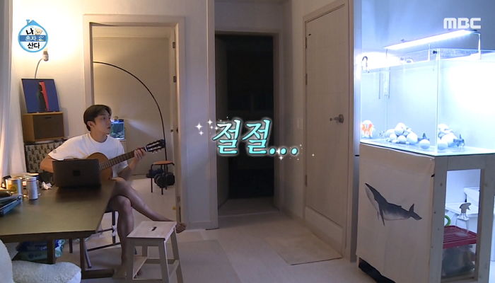 인사이트