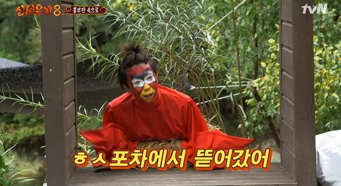 인사이트