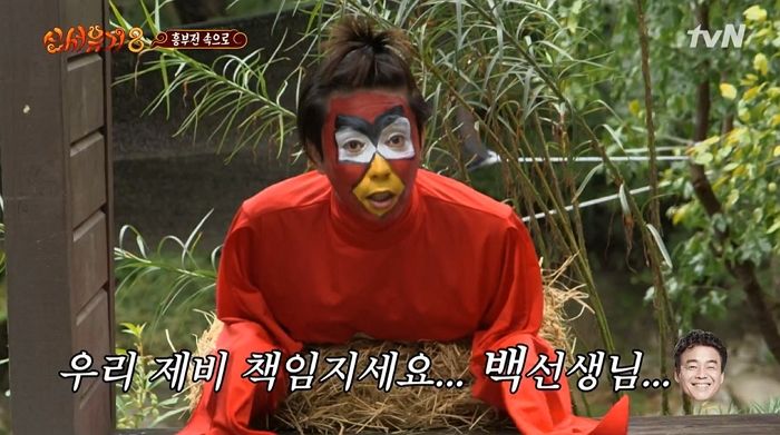 인사이트