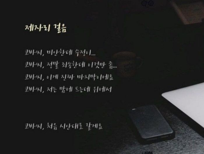 인사이트