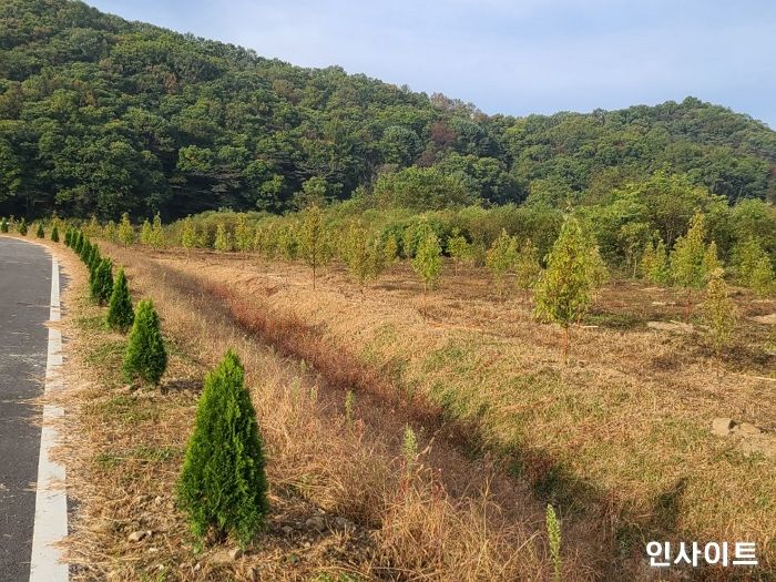 유한킴벌리, 평화의숲, 육군과 공동으로 ‘우리강산 푸르게 푸르게 숲’ 조성 시작