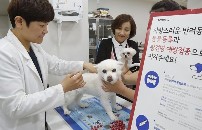 우리집 댕냥이 이달 말까지만 동물병원서 예방접종 ‘5천원’에 맞을 수 있다