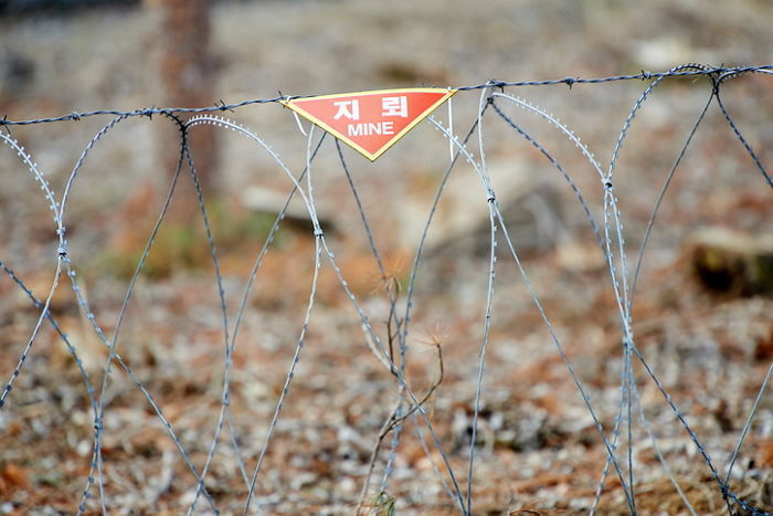 DMZ 평화관광사업 추진하는 정부···폭발위험 있는 ‘매설 지뢰’ 파악 다 못했다