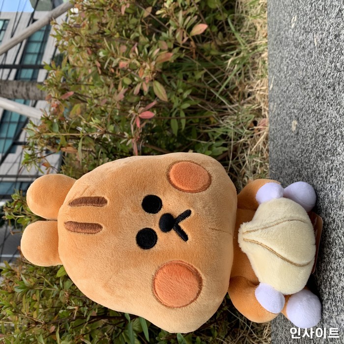 인사이트 / 사진=인사이트